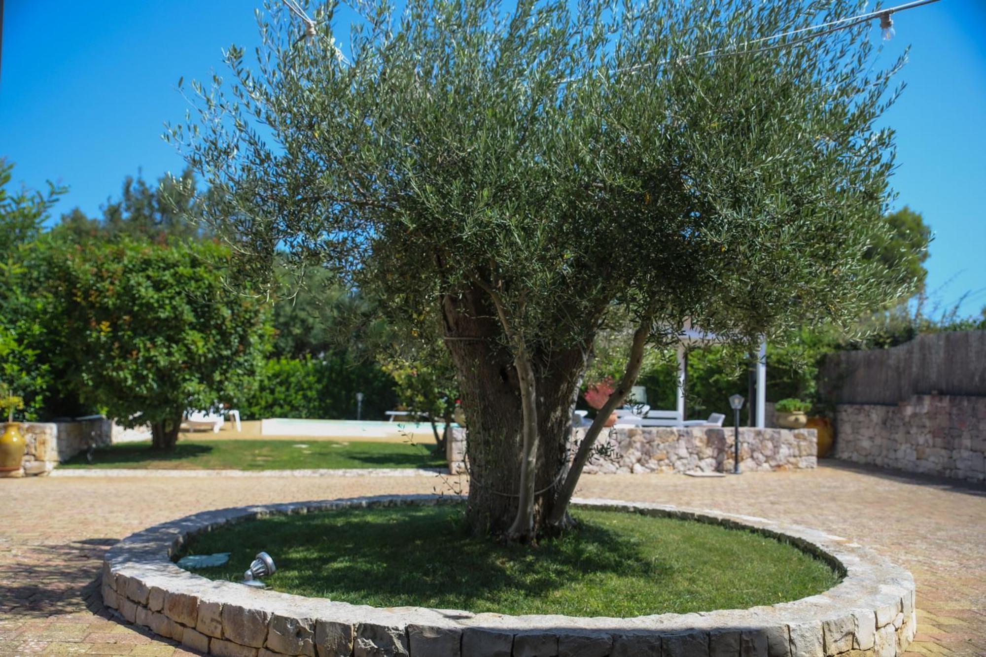 Villa Arisa con piscina Selva Di Fasano Esterno foto