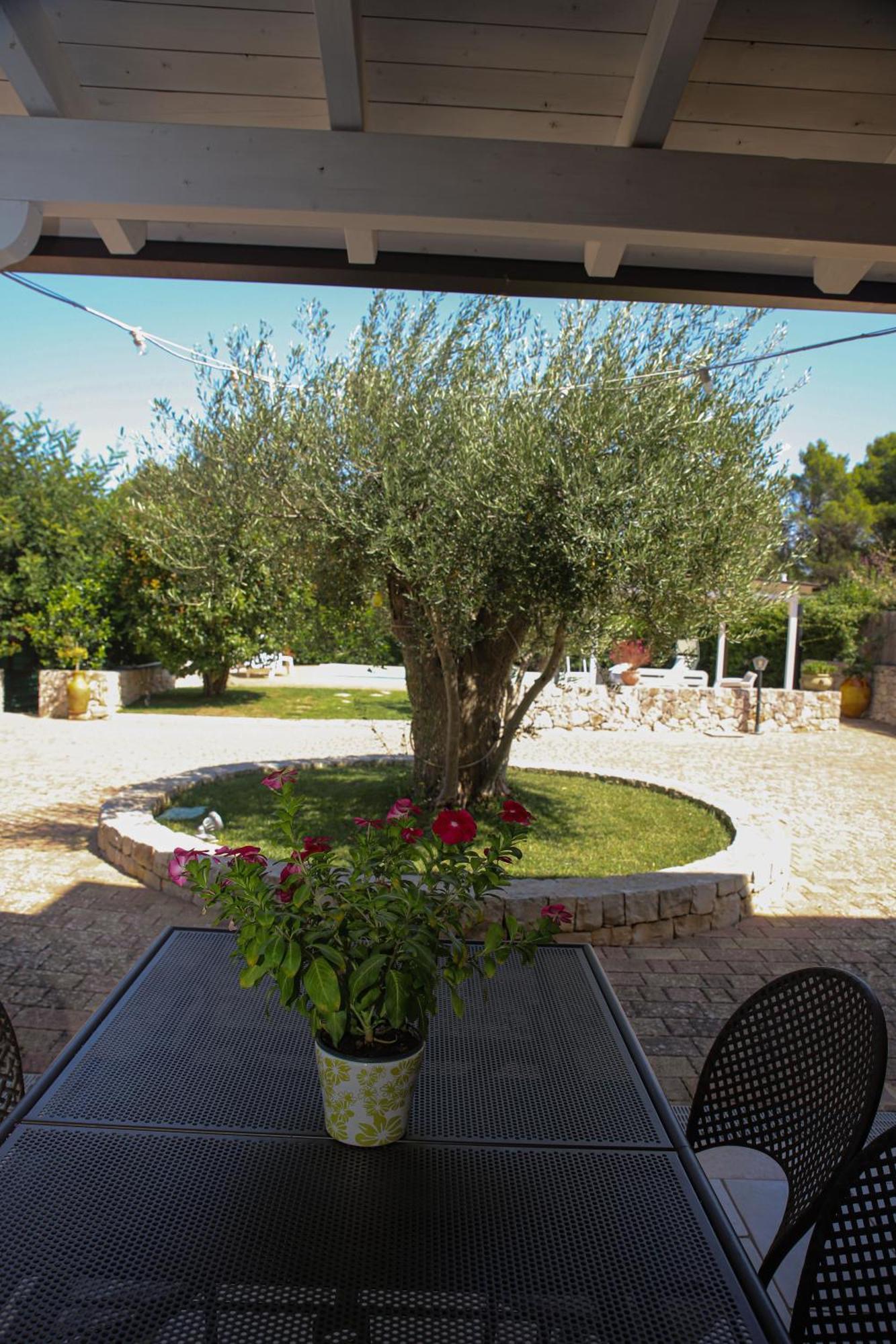 Villa Arisa con piscina Selva Di Fasano Esterno foto